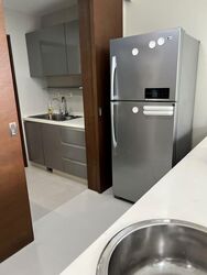 The Suites At Central (D9), Condominium #551448151
